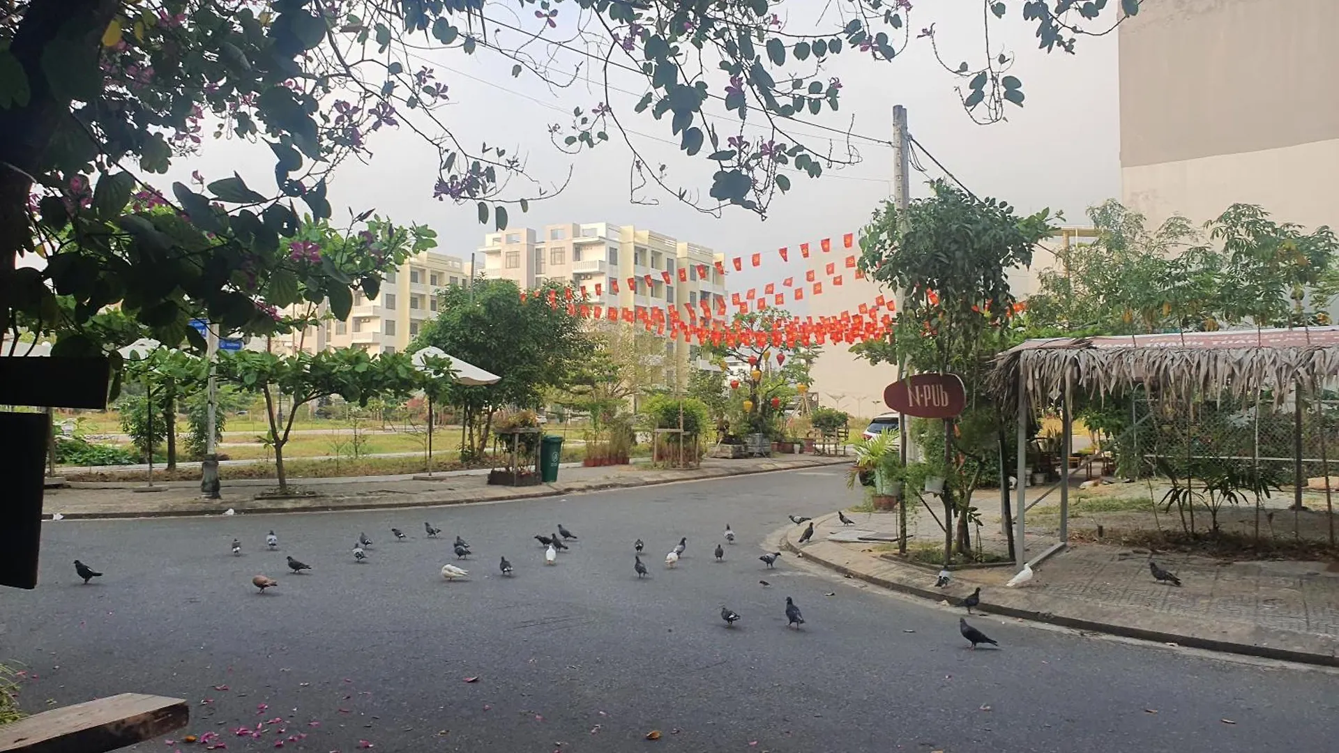 Homestay N Home Da Nang